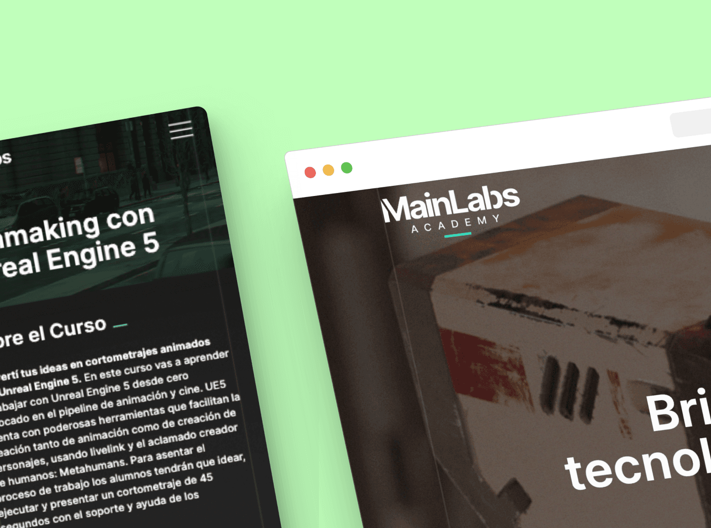 Mainlabs Academy